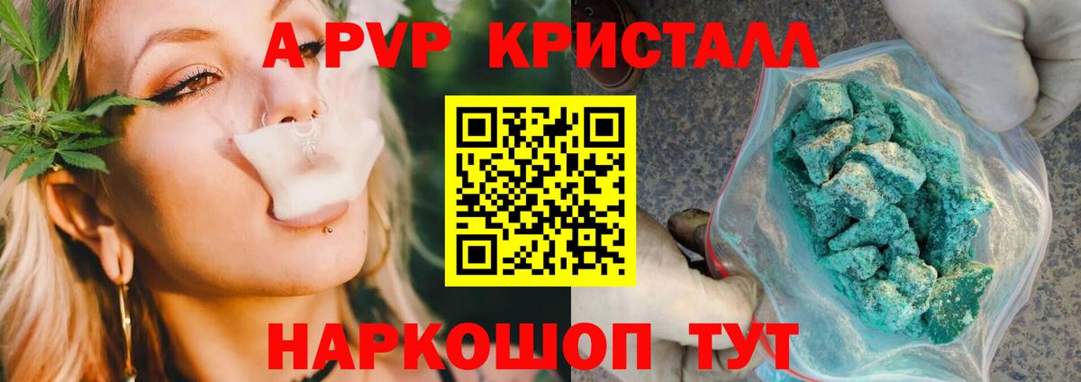 A PVP СК КРИС Рассказово