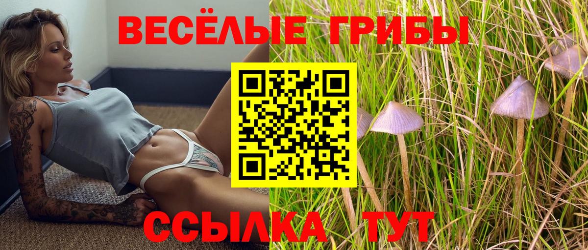 Галлюциногенные грибы мицелий  Псилоцибиновые грибы Magic Shrooms  Вход с VPN  Рассказово 